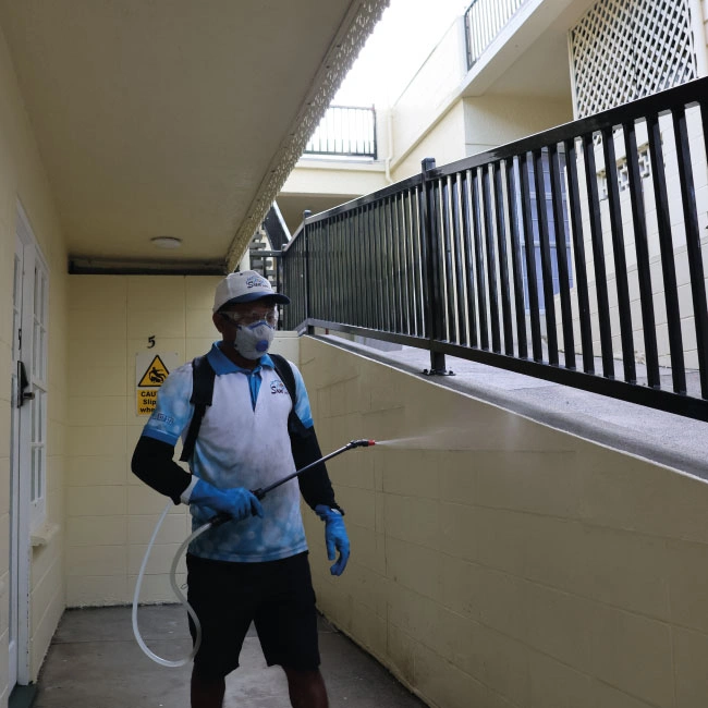 Pest Control
