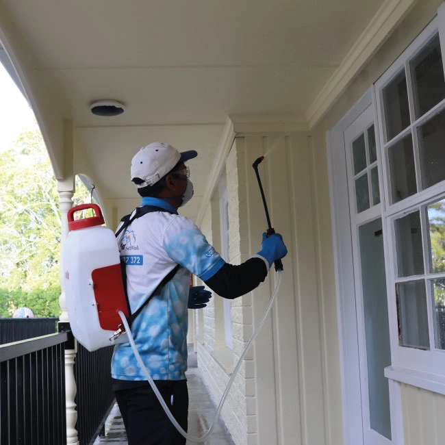 Pest Control