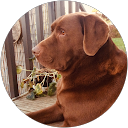 Maureen Stringer profile picture
