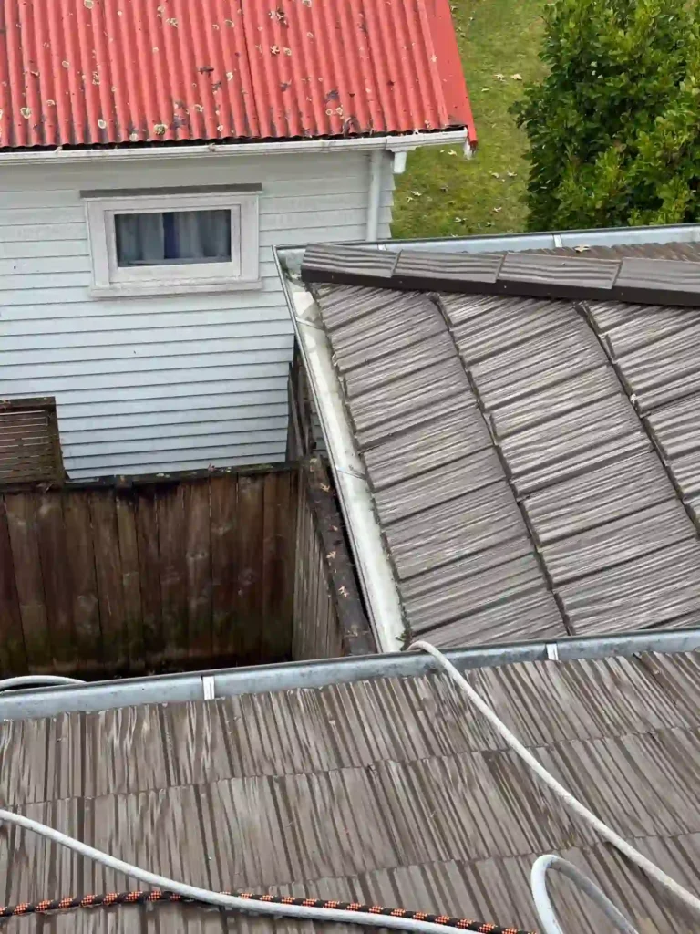 Gutter Cleaning