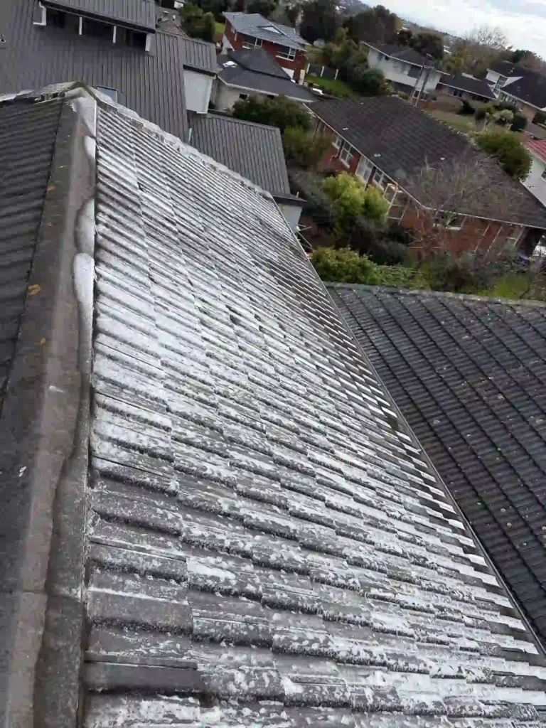 Roof Treatment