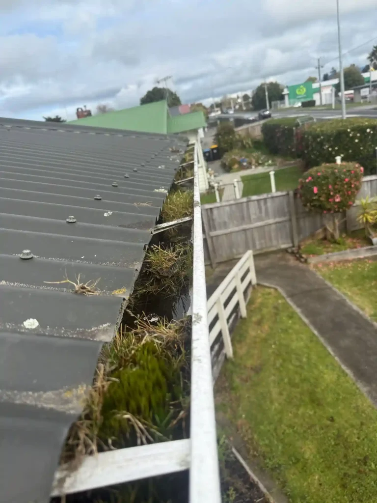 The Problem: Heavy Vegetation in the Gutters