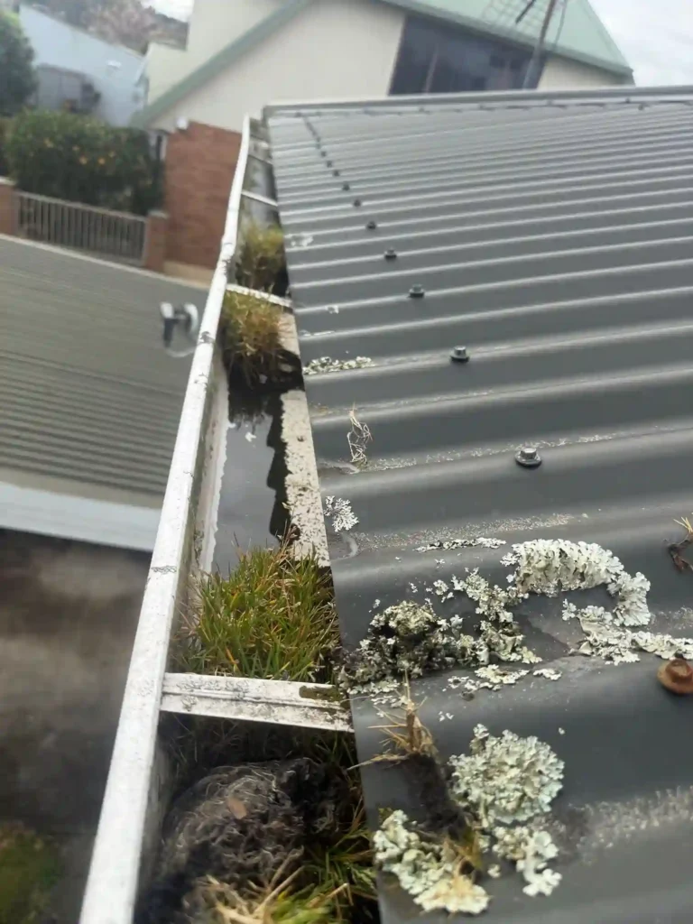 Gutter Cleaning in Te Awamutu: Park Road Project